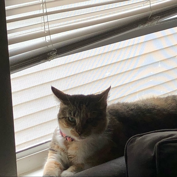 Meet your Posher, Maria - Picture 1 of 1